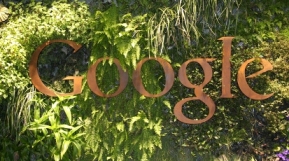 Google jungle.jpg