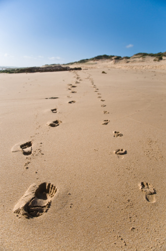 fcpa investigation.jpg